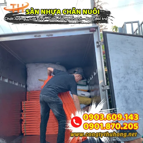 SÀN NHỰA CHĂN NUÔI HEO
