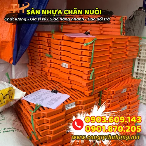 SÀN NHỰA CHĂN NUÔI HEO