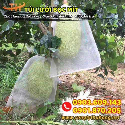 TÚI LƯỚI BỌC MÍT