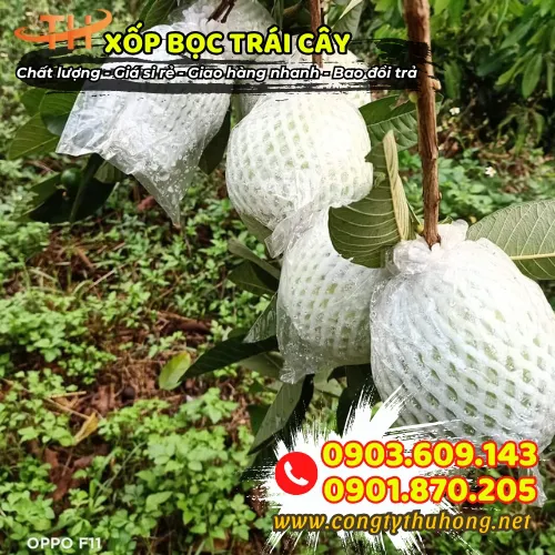 XỐP BỌC ỔI LỒNG SẴN THUN