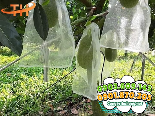 Túi bọc trái cây chống côn trùng túi bọc chống côn trùng