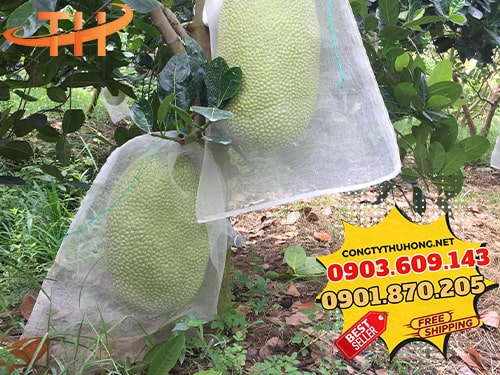 Túi lưới bọc mít Túi lưới bọc mít giá rẻ siêu tốt