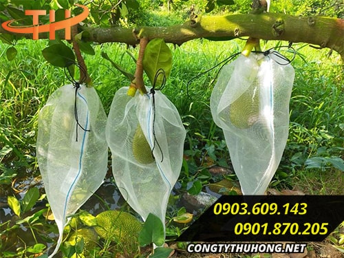 túi lưới bọc trái cây tại tphcm túi lưới bọc trái cây tại tphcm