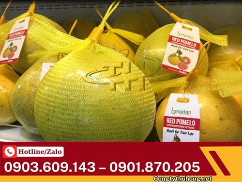 Túi lưới đựng trái cây Túi lưới đựng rau củ giá sỉ tận xưởng