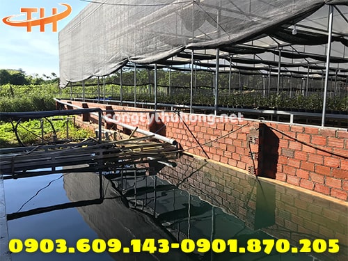 Ứng dụng lưới che nắng Ứng dụng lưới che nắng