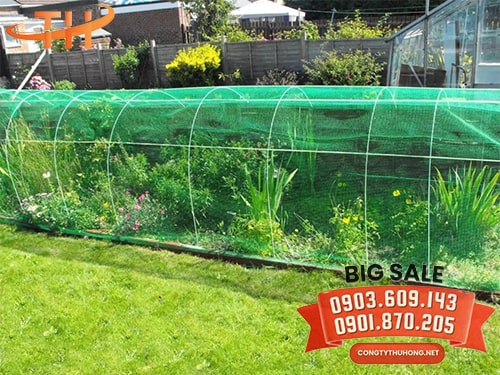 Ứng dụng lưới mùng chống côn trùng Ứng dụng lưới mùng chống côn trùng