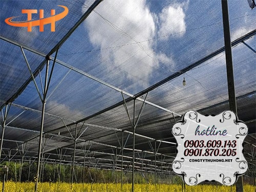 Ứng dụng lưới mùng đen Ứng dụng lưới mùng đen