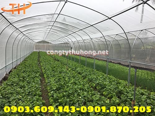 Ứng dụng lưới mùng Ứng dụng lưới mùng