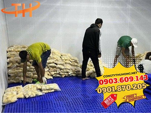 Pallet nhựa Ứng dụng pallet nhựa