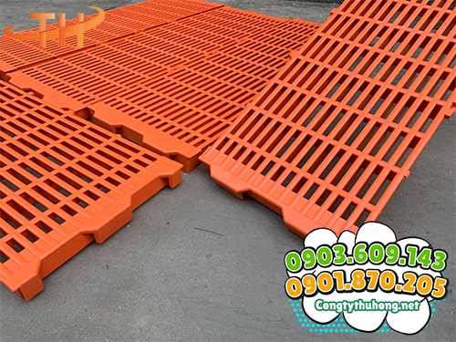 Sàn nhựa chăn nuôi Ưu nhược điểm sàn nhựa chăn nuôi