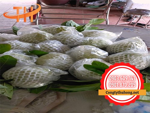 Xốp bảo vệ trái cây Xốp bảo vệ trái cây