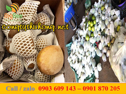 xốp bọc hoa quả