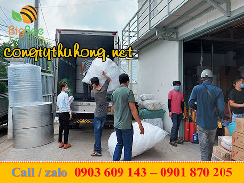 xốp lưới bọc hoa quả