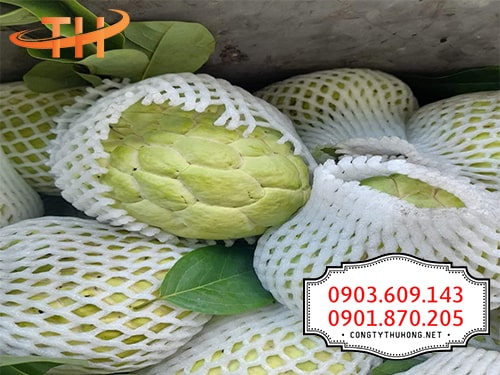 Xốp bọc trái cây giá sỉ tphcm Xốp bọc trái cây giá sỉ tphcm