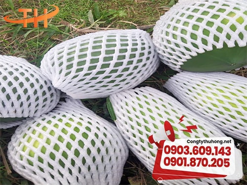 Xốp bọc trái cây Xốp bọc trái cây giá tại xưởng