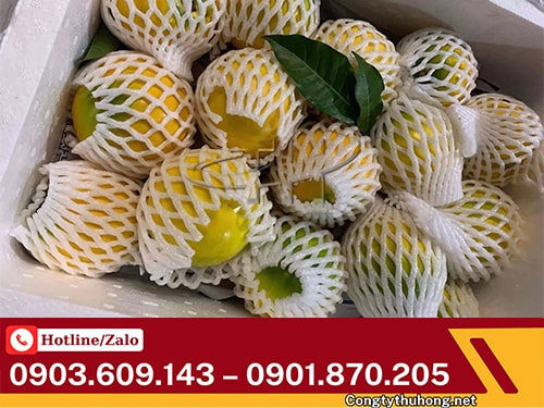 Xốp bọc trái cây Xốp bọc trái cây thoáng khí giá sỉ