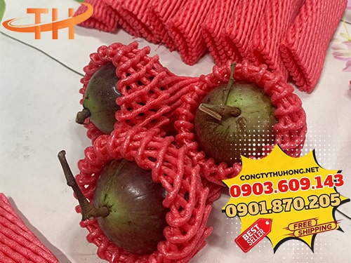 Xốp bọc vú sữa Xốp bọc vú sữa