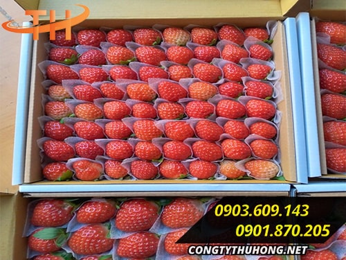 Xốp foam bọc hàng giá rẻ Xốp foam bọc hàng giá rẻ