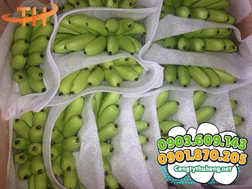 Xốp foam đóng hàng Xốp foam đóng hàng số lượng lớn