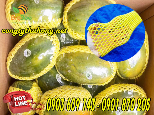 Xốp lưới vàng bọc đu đủ