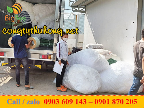 xốp lưới bọc ổi