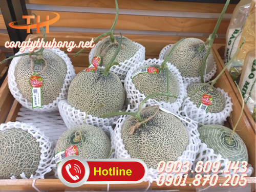 Xốp lưới bọc trái cây