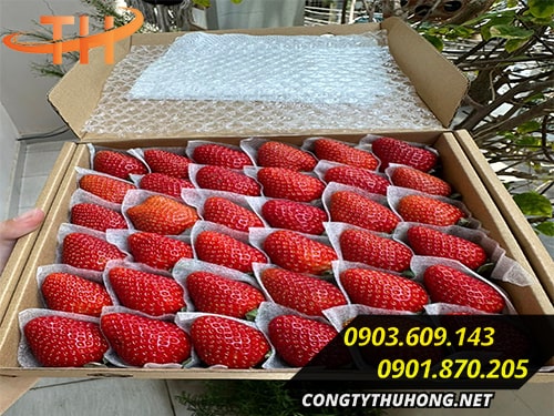 Bảo vệ nông sản tránh dập nát Xốp pe foam giá rẻ tphcm