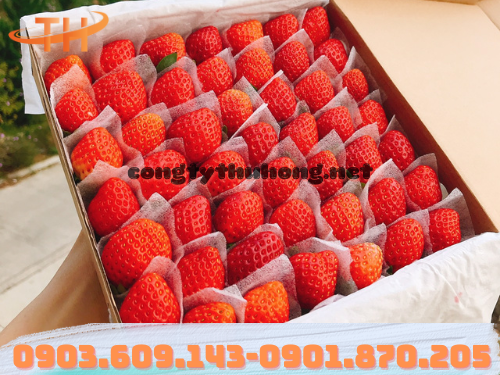 Xốp pe foam giá rẻ