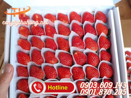 Xốp pe foam lót trái cây