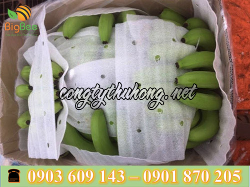 Sử dụng xốp pe foam lót trái cây chống xóc