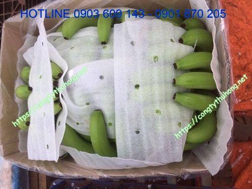 màng xốp foam bảo quản nông sản