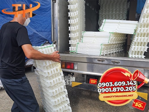 Sàn nhựa chăn nuôi Xu hướng sử dụng sàn nhựa chăn nuôi