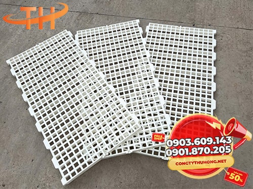 sàn nhựa chăn nuôi Xu hướng sử dụng sàn nhựa chăn nuôi