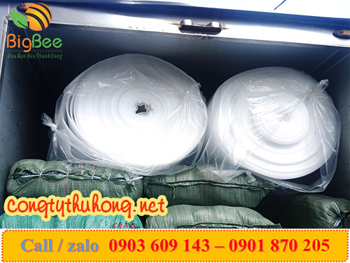 xốp pe foam trắng