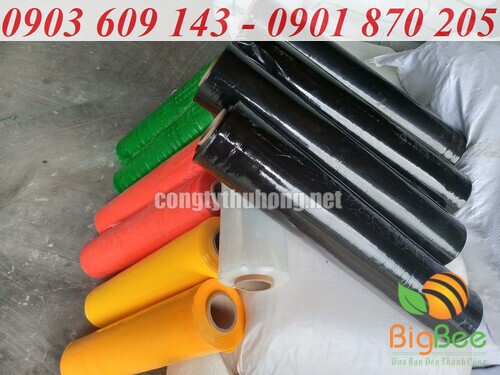 Các loại màng PE màu tại xưởng