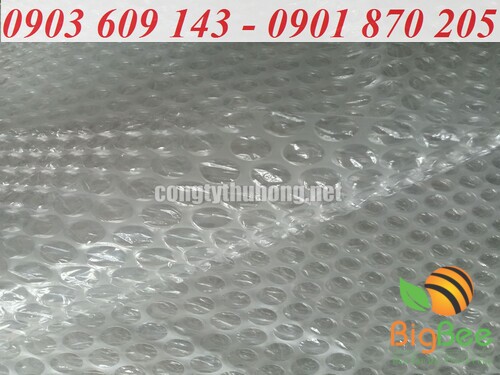 các bóng khí trên màng