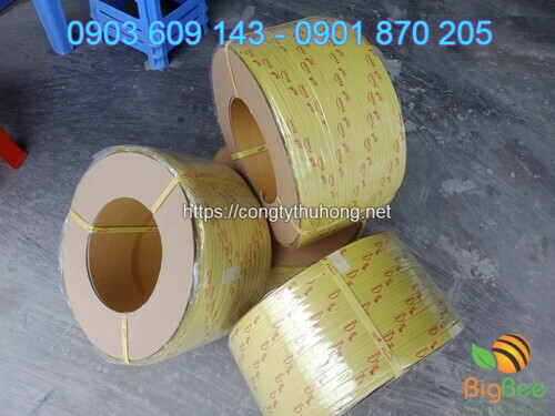 cuộn dây đai pp vàng in logo