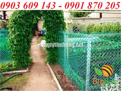 Sử dụng lưới nhựa cứng rào vườn