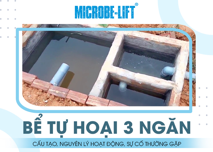 Bể tự hoại 3 ngăn truyền thống Bể tự hoại 3 ngăn truyền thống