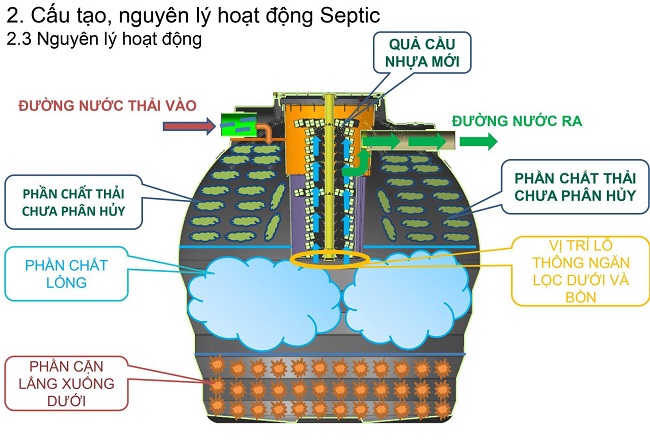 Nguyên lí hoạt động bồn tự hoại Septic Toàn Mỹ Nguyên lí hoạt động bồn tự hoại Septic Toàn Mỹ