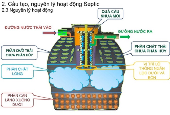 cau-tao-bon-tu-hoai-toan-my cau-tao-bon-tu-hoai-toan-my