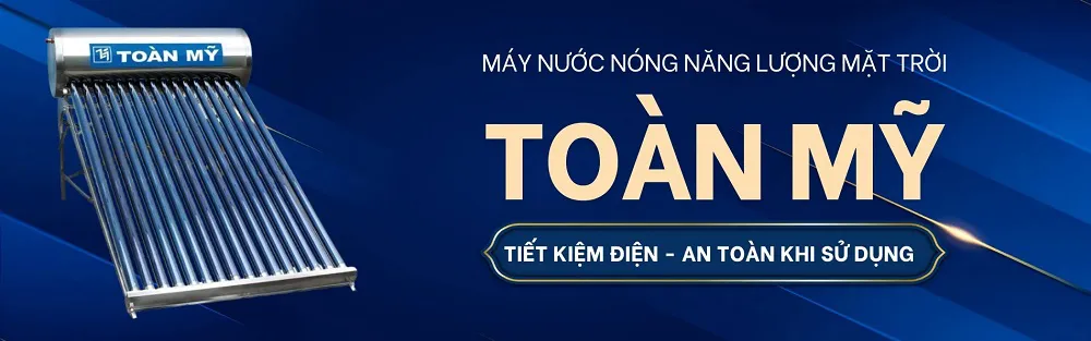 Toàn Mỹ 2024