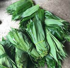 Việt Nam thu hàng triệu USD từ xuất khẩu lá tre