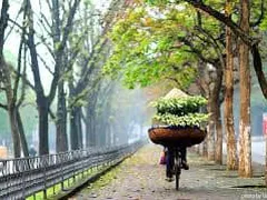 Bài thơ: Loa kèn gọi tháng 4