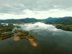 Bài thơ đặc biệt: Học hạnh từ thiên nhiên