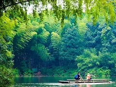 Những câu chuyện thú vị về cây tre