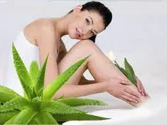 8 cách làm mặt nạ dưỡng da và tóc với Nha đam