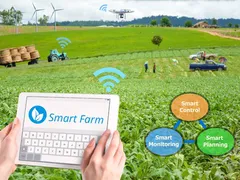 Ứng dụng công nghệ hiện đại trong sản xuất nông nghiệp để nâng cao năng suất và hiệu quả kinh tế