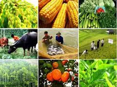 Trụ đỡ vững qua 'sóng lớn' - 'mùa vàng' tỷ USD lại về