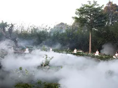 Trải nghiệm lối sống tỉnh thức tại Thành phố Cà phê